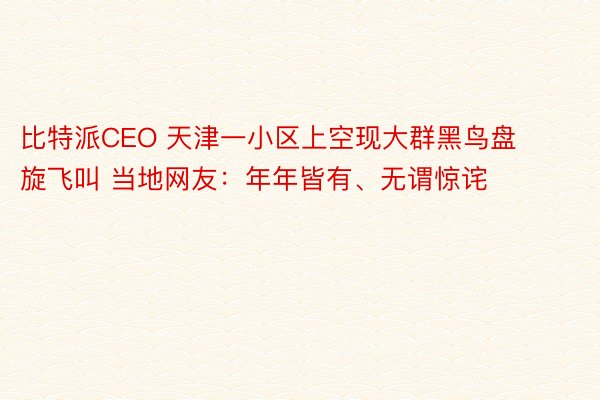 比特派CEO 天津一小区上空现大群黑鸟盘旋飞叫 当地网友：年年皆有、无谓惊诧