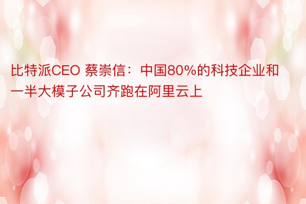 比特派CEO 蔡崇信：中国80%的科技企业和一半大模子公司齐跑在阿里云上