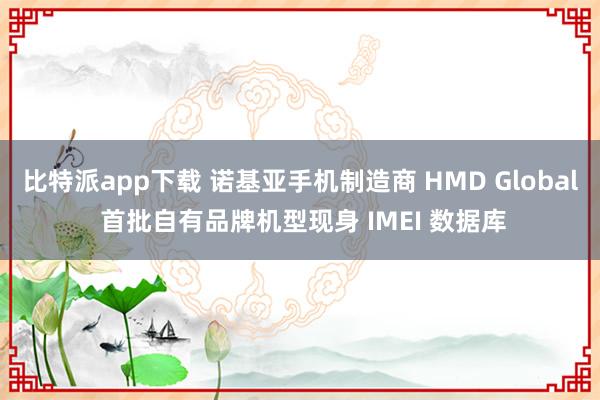 比特派app下载 诺基亚手机制造商 HMD Global 首批自有品牌机型现身 IMEI 数据库