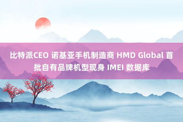 比特派CEO 诺基亚手机制造商 HMD Global 首批自有品牌机型现身 IMEI 数据库