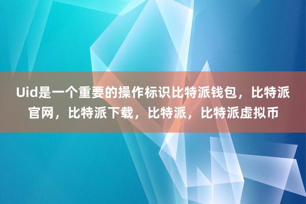 Uid是一个重要的操作标识比特派钱包，比特派官网，比特派下载，比特派，比特派虚拟币