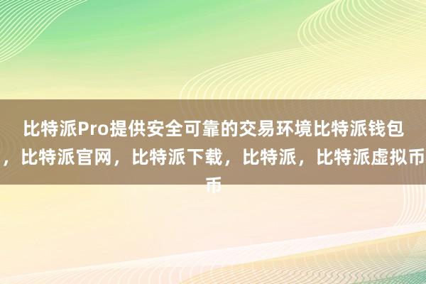 比特派Pro提供安全可靠的交易环境比特派钱包，比特派官网，比特派下载，比特派，比特派虚拟币