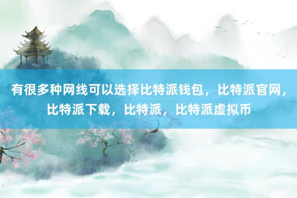   有很多种网线可以选择比特派钱包，比特派官网，比特派下载，比特派，比特派虚拟币