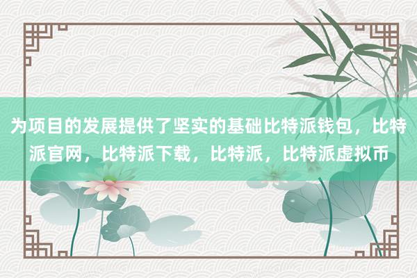 为项目的发展提供了坚实的基础比特派钱包，比特派官网，比特派下载，比特派，比特派虚拟币