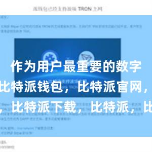 作为用户最重要的数字资产之一比特派钱包，比特派官网，比特派下载，比特派，比特派虚拟币