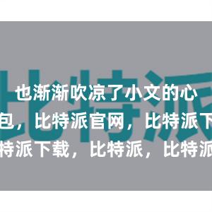   也渐渐吹凉了小文的心比特派钱包，比特派官网，比特派下载，比特派，比特派虚拟币