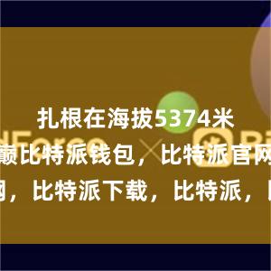 扎根在海拔5374米的雪山之巅比特派钱包，比特派官网，比特派下载，比特派，比特派虚拟币